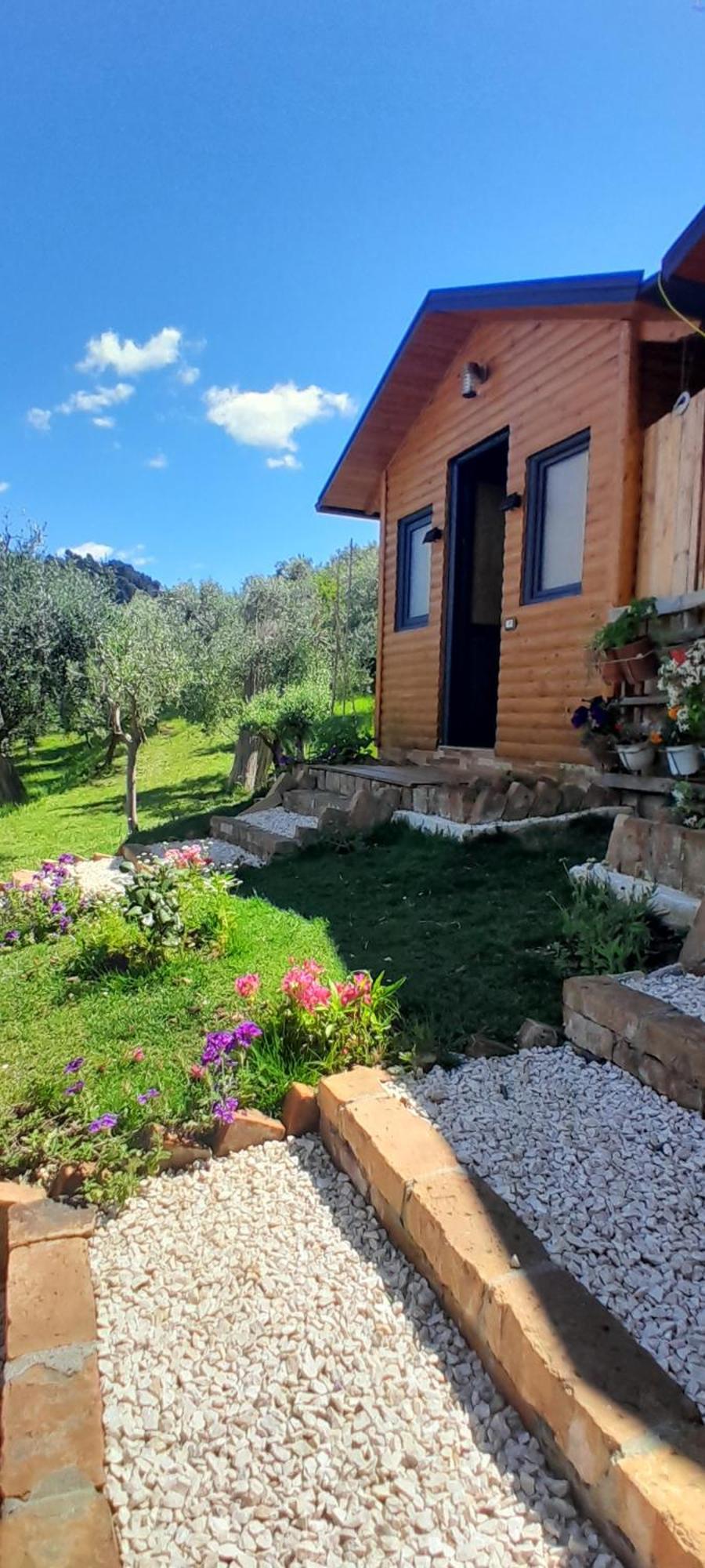 培拉特 Bujtina Musta旅馆 外观 照片